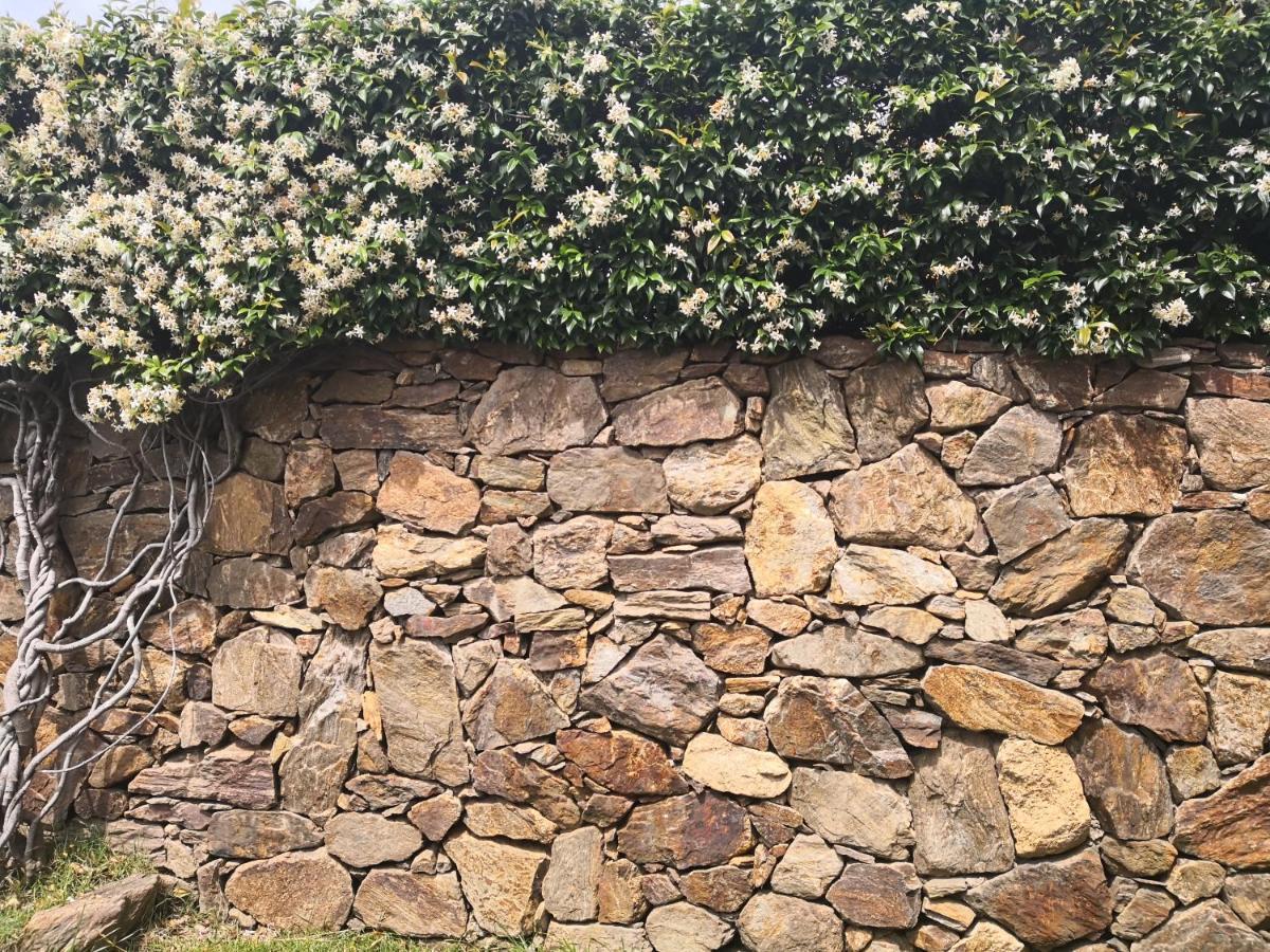 Bed and Breakfast A Lu Ponti Budoni Esterno foto