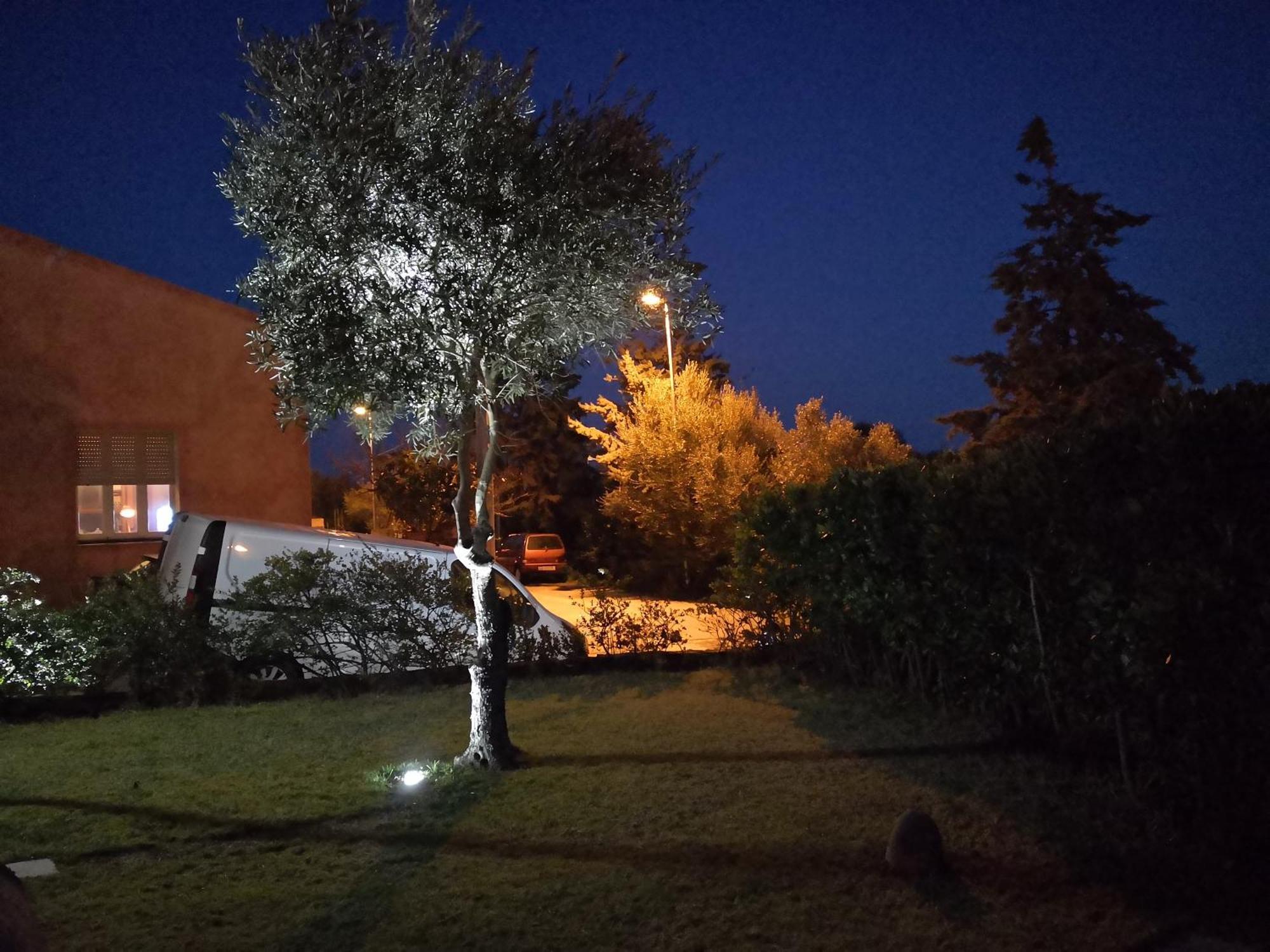 Bed and Breakfast A Lu Ponti Budoni Esterno foto